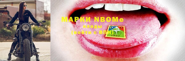 ешки Бородино
