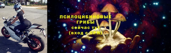 крисы Верея