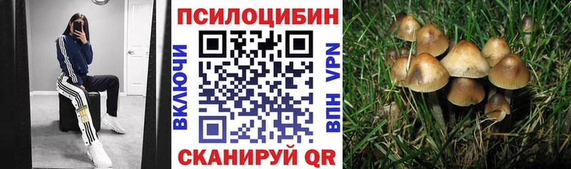Галлюциногенные грибы Psilocybine cubensis  Березники 